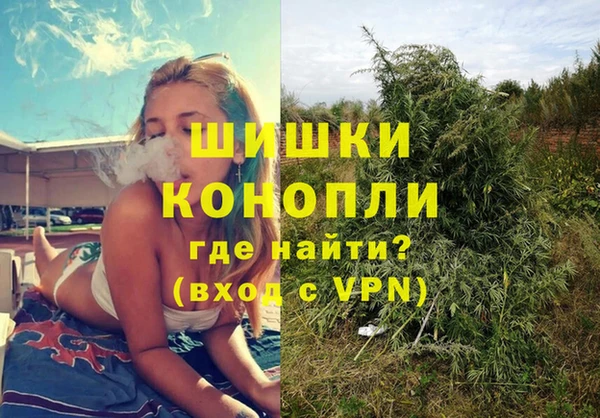 стаф Каменногорск