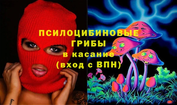 стаф Каменногорск