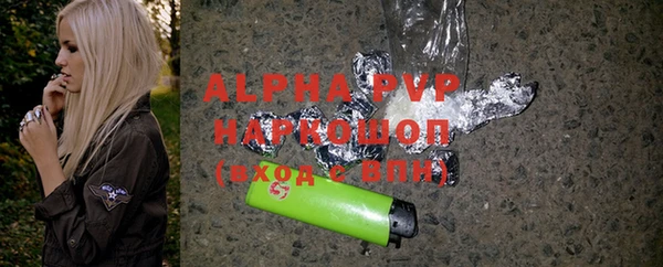 стаф Каменногорск