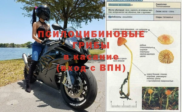 a pvp Каменск-Шахтинский