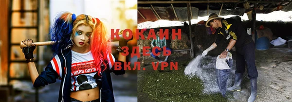 стаф Каменногорск
