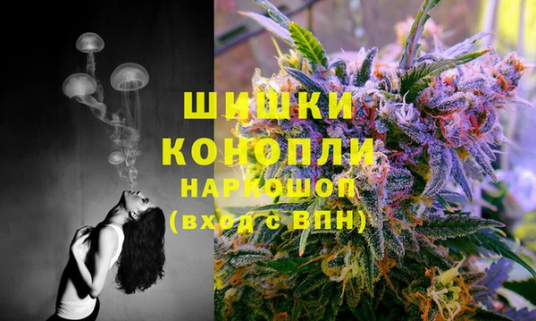 стаф Каменногорск